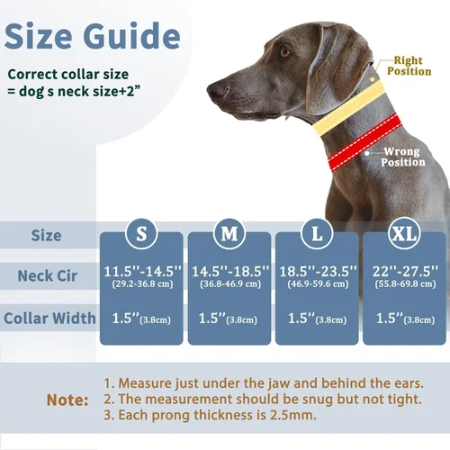 Miniatura 4 de Mayerzon Collar de Perro sin Tirones, Collar de Martingala Patentado para Perros Pequeños, Medianos y Grandes con Hebilla y Nylon Resistente