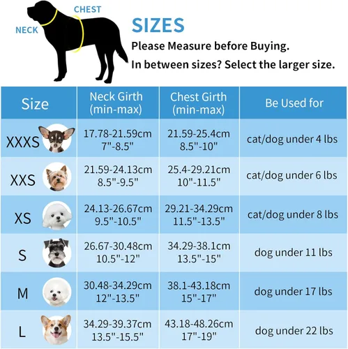 Miniatura 7 de AIITLE Arnés y Correa para Perro XXS - Arnés Pequeño para Perro Reflectante y sin Tirones, Transpirable para Cachorros Taza, Uso en Negro