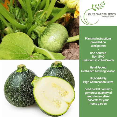 Miniatura 2 de Semillas redondas de calabacín (Cucurbita Pepo) – Más de 40 semillas de reliquia sin OMG para plantar, también conocidas como calabacín de ocho