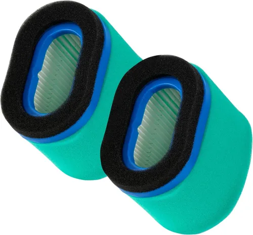 Paquete de 2 filtros de aire 697029 con filtro de aire 273356S de repuesto para filtro de aire BS 498596 498596S 697029 697029S 690610, compatible
