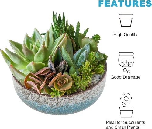 Miniatura 5 de kilolfy Happy Bonsai Pot - Maceta de cerámica esmaltada de 6.5 pulgadas para suculentas