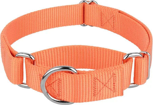 Miniatura 29 de Country Brook Petz - Collar Martingale para perro - Collar de entrenamiento resistente sin hebilla - Collar para perros de servicio para todos