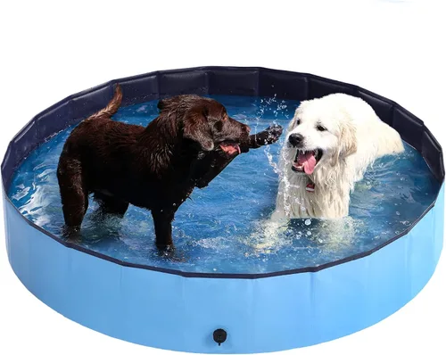 Piscina para perros – Piscina plegable de plástico duro para niños, 63 x 12 pulgadas, piscina portátil de PVC para perros, piscina para interiores y