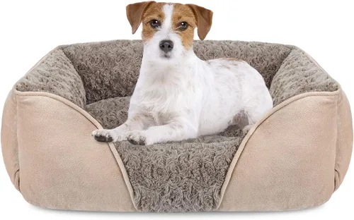 Miniatura 31 de INVENHO Cama XXL para perros grandes, medianos y pequeños, cama rectangular lavable para perro, cama ortopédica para perros, cama suave y relajante