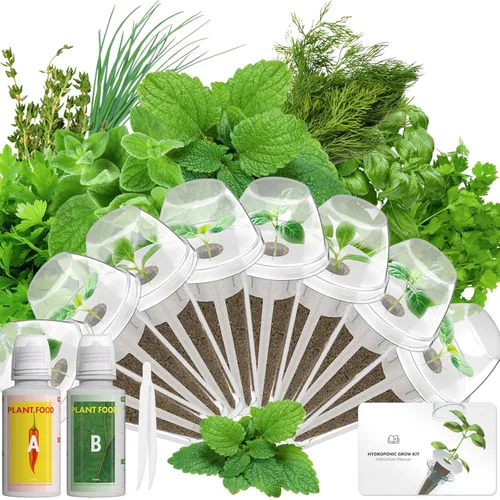 Kit de cápsulas de semillas de hierbas gourmet compatible con AeroGarden, idoo, Ahopegarden, Gardencube con albahaca, perejil, tomillo, menta,