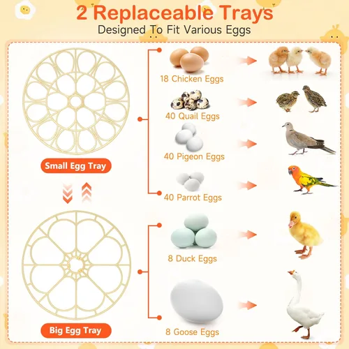 Miniatura 9 de 18 incubadoras de huevos para incubar huevos, incubadora automática de giro de huevos y control de humedad para eclosionar pollo, pato, codorniz