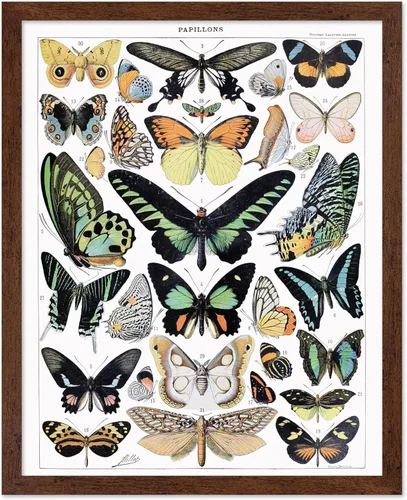 Miniatura 22 de Poster Master Póster vintage de miel, impresión retro de La Vie De L'Abeille, arte de panal de abeja, arte de pared de abeja, regalo para hombres