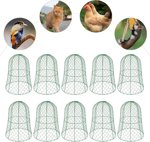 Miniatura 6 de Paquete de 10 Cloches de alambre de pollo para jardín, 12.99 pulgadas de profundidad x 15.75 pulgadas de alto, protectores y cubiertas de plantas