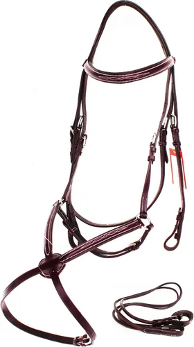 CHALLENGER Horse English Padded Leather Jumping Adjustable Figure 8 Bridle Full 803447