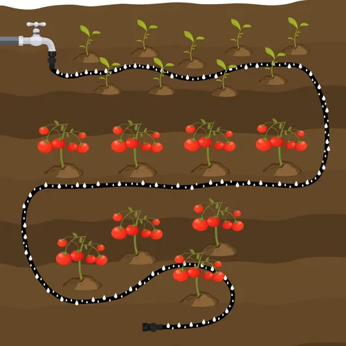 Miniatura 6 de AIODE Manguera de remojo plana de 10 pies para camas de jardín, manguera de goteo resistente, ahorra un 80% de agua para árboles vegetales (10 pies)