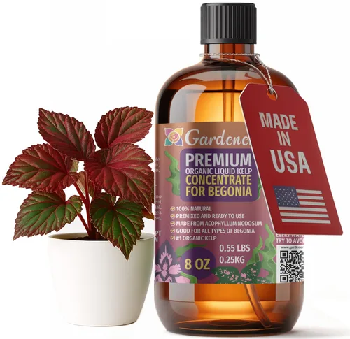 Miniatura 95 de GARDENERA Superalimento orgánico prémium de algas marinas y algas marinas para plantas AGLAONEMA, 8 onzas, concentrado de fertilizante líquido
