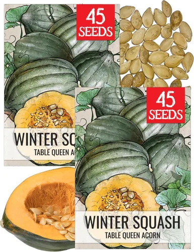 Miniatura 14 de Seed Needs Semillas de calabacín para plantar calabaza de verano Black Beauty, sin OMG, reliquia y sin tratar, rendimientos prolíficos de deliciosos