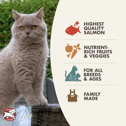 Miniatura 3 de Fromm Four-Star Nutritionals Salmon Tunachovy Comida para gatos - Comida seca premium para gatos - Receta de salmón - 4 lb