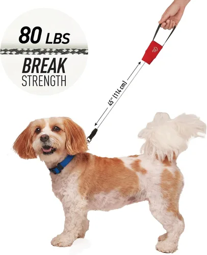Miniatura 4 de Nite Ize RadDog - Correa de bolsillo retráctil, duradera y cómoda, correa retráctil compacta para pasear al perro, portátil y resistente para el uso