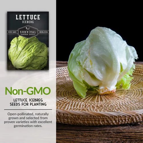 Miniatura 3 de Paquete de 1 semilla de lechuga iceberg para plantar, paquete con instrucciones para cultivar lechuga crujiente en tu huerto casero, variedad