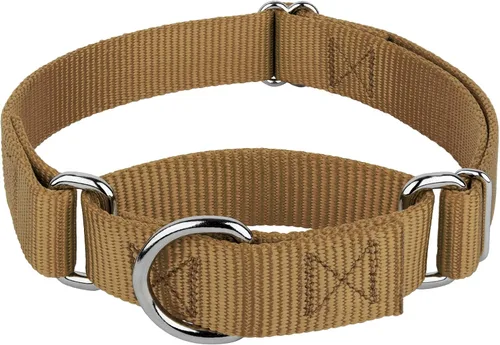 Miniatura 16 de Country Brook Petz - Collar Martingale para perro - Collar de entrenamiento resistente sin hebilla - Collar para perros de servicio para todos