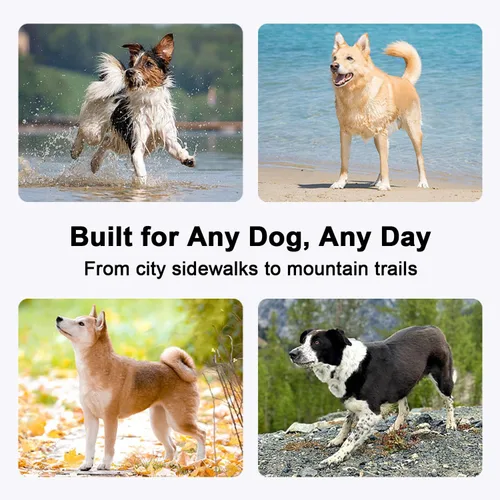 Miniatura 6 de COODEO Arnés antitirones para perro con acolchado de malla transpirable, tiras reflectantes, diseño antiescape, ajuste rápido para entrenar