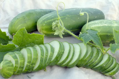 Miniatura 2 de Ashley - Semillas de pepino para siembra, más de 50 semillas de reliquia por paquete, semillas de jardín de Isla (semillas de jardín de Isla)