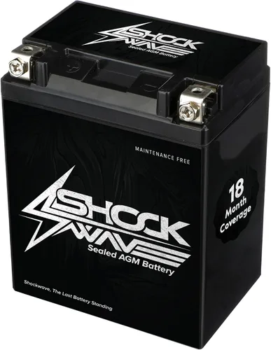 Miniatura 6 de SHOCKWAVE Batería AGM YTX5L-BS 12V 4AH 70CCA – Energía libre de mantenimiento – Compatible con Honda CRF50, Yamaha TTR110, Kawasaki KLX110, TaoTao