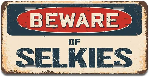 Miniatura 21 de SignMission Beware of Simmental Cattle - Placa de matrícula de aluminio de 12 x 6 pulgadas, se adapta a cualquier automóvil, camión, SUV, RV
