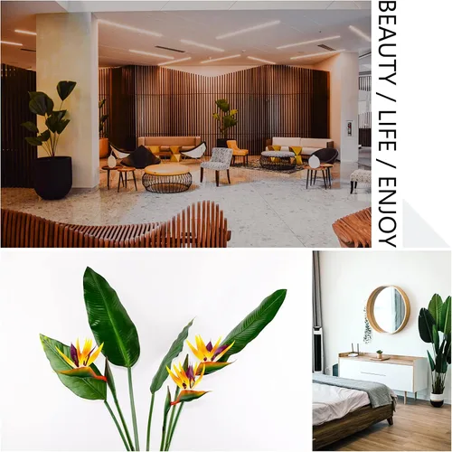 Miniatura 4 de Strelitzia - Flores artificiales de ave del paraíso de 32 pulgadas de tallo largo, 3 unidades, adecuadas para decoración del hogar y exhibición
