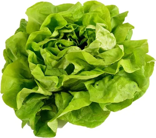 Miniatura 16 de Semillas de huerto para plantar - Cultivar verduras tradicionales (tomate bistec)