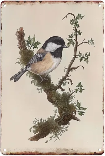 Letrero de Metal Sanwarm 8X12 Pulgadas, Arte de Pared Vintage de Hoja de Estaño Estilo Retro de Pájaro Chickadee, Decoración para el Hogar, Sala de