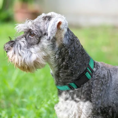 Miniatura 2 de Joytale - Collar reflectante para perro, collar de nailon transpirable con acolchado de neopreno suave para mascotas, ajustable para perros Verde