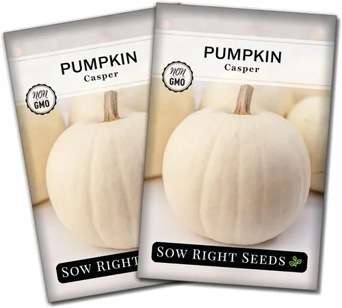 Miniatura 7 de Sow Right Seeds - Semillas de calabaza Casper para plantar - Paquete de reliquia sin OMG con instrucciones para plantar un huerto casero - Variedad