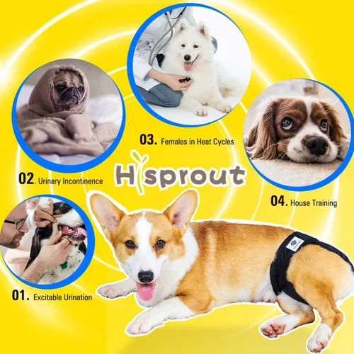 Miniatura 5 de Pañales para perras, reutilizables, lavables, duraderos, absorbentes, de tela para perritos, de mariposa y tucán, talla M