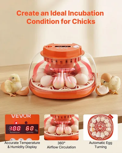 Miniatura 2 de VEVOR Incubadora de 12 huevos, girador automático de huevos con vela LED, control de temperatura y humedad, ventana transparente de visión de 360°