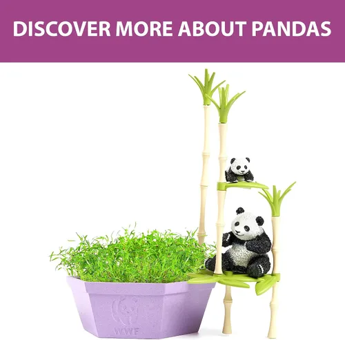 Miniatura 5 de Wild Scenes - Bosque de bambú de Pandas, kit de cultivo y juego, juguete de conservación de vida silvestre respetuoso con el medio ambiente, juego