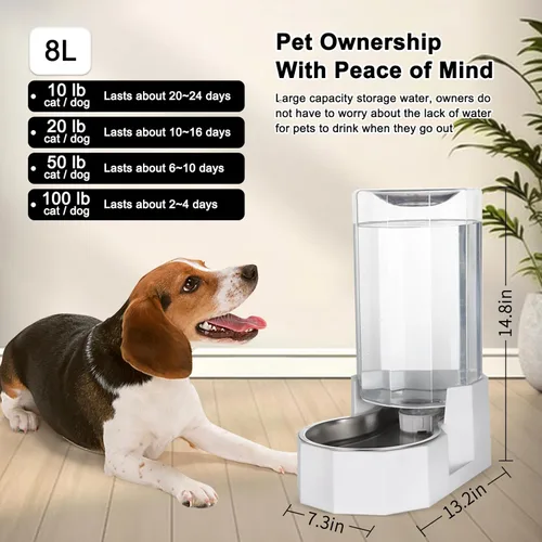 Miniatura 3 de Sfozstra Dispensador Automático de Agua para Mascotas: Cuenco de Agua de Acero Inoxidable Blanco por Gravedad de 8L - con Cepillo Especializado