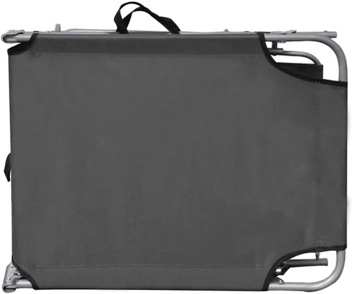 Miniatura 3 de vidaXL Tumbona plegable con toldo, color gris acero