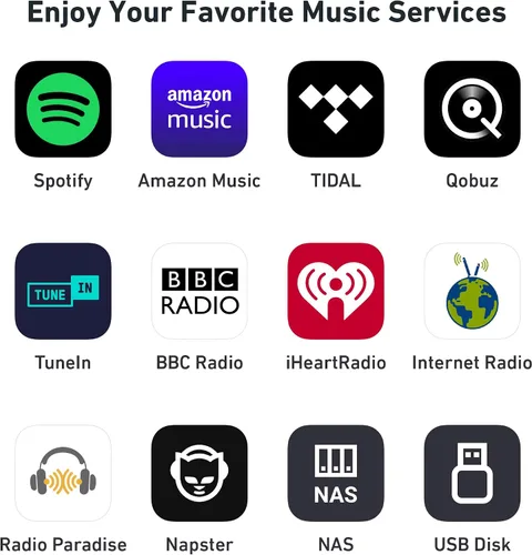 Miniatura 7 de Arylic S10+ Receptor de Audio AirPlay, Estéreo Multihabitación con Salida SPDIF, Transmisor de Música WiFi y Bluetooth, Transmite Música HD Sin