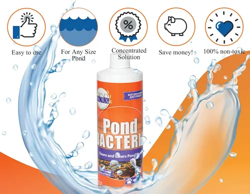 Miniatura 4 de Pondworx Pond Bacteria - Concentrado y formulado para características del agua - Seguro para Koi - 16 onzas y trata hasta 2,500 galones de agua