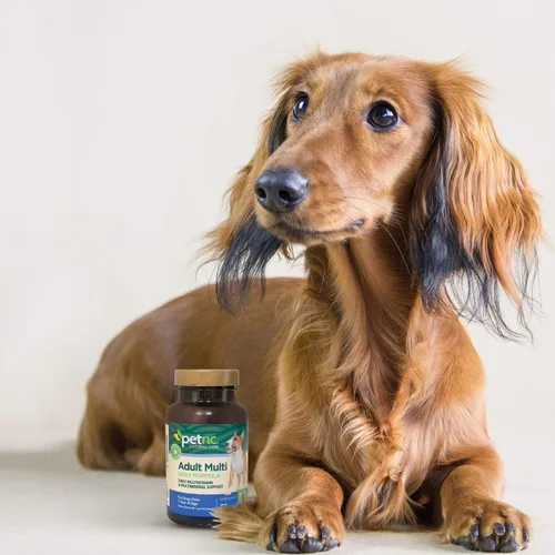 Miniatura 5 de Petnc - Multimasticables para adultos (75 unidades), soporte diario multivitamínico y multimineral para perros, incluye zinc, magnesio y más, apoya