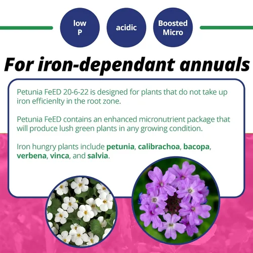 Miniatura 4 de Jack's Classic 20-6-22 Fertilizante soluble en agua para alimentación de petunia con micronutrientes, 10 libras, paquete de 2 - Proporciona anuales
