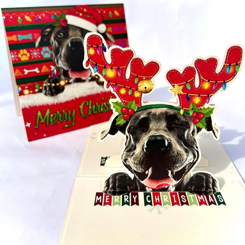 Miniatura 27 de Tarjeta de cumpleaños de perro Beagle 3D emergente – Felicitación de feliz cumpleaños para los amantes de los perros – Tarjeta desplegable