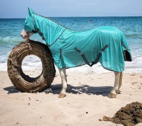 Miniatura 11 de Majestic Ally Sábana para mosca de caballo con cubierta para el cuello y máscara para la cabeza, protección transpirable contra los rayos UV