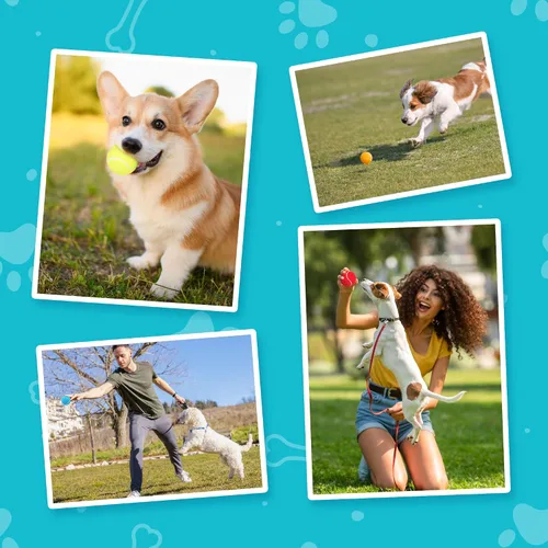 Miniatura 6 de Pelotas de tenis para perros Prime Pets, 12 paquetes, 6.35 cm de pelotas de tenis duraderas de alto rebote para perros, pelota de perro para buscar