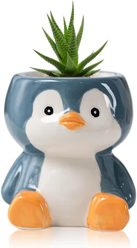 Miniatura 12 de DIYOMR Bonita maceta de animales, mini maceta de cerámica con forma de animal de dibujos animados para suculentas, soporte para plantas de aire