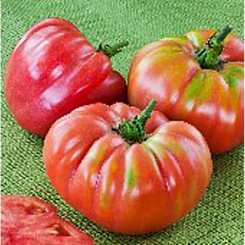 Semillas de tomate German Queen (45 semillas) para plantar, granja, cultivo en jardín, invernadero, vegetales, frutas