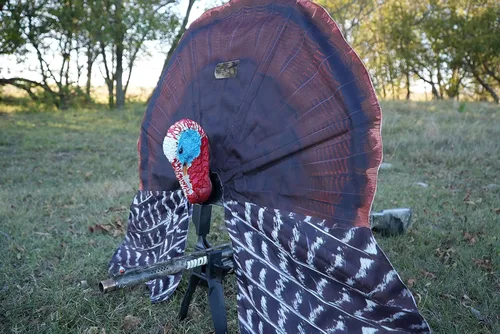 Miniatura 5 de MOJO Outdoors Turkey Hunting Decoys and Accessories