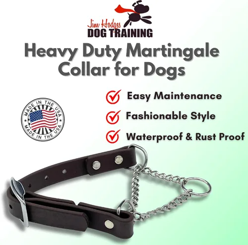 Miniatura 2 de Collar de Martingala para Perros, Biothane, Herrajes de Acero Inoxidable, Sin Tirones, Fabricado en EE. UU., Grado Profesional, Grande, Marrón