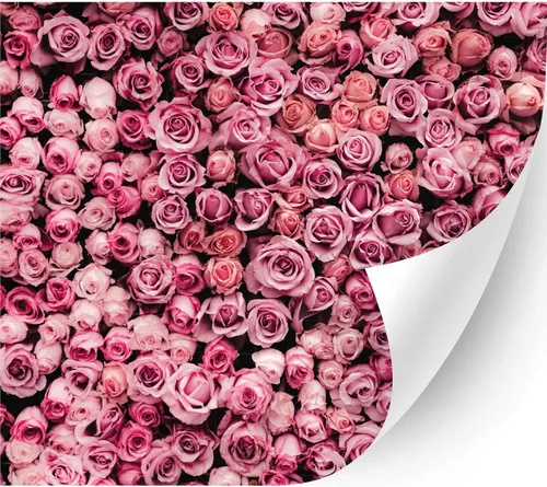 Miniatura 29 de HTV4U Vinilo de transferencia de calor con estampado floral (flor de acacia, 13.5 x 12 pulgadas), vinilo impreso para planchar, papel de prensa