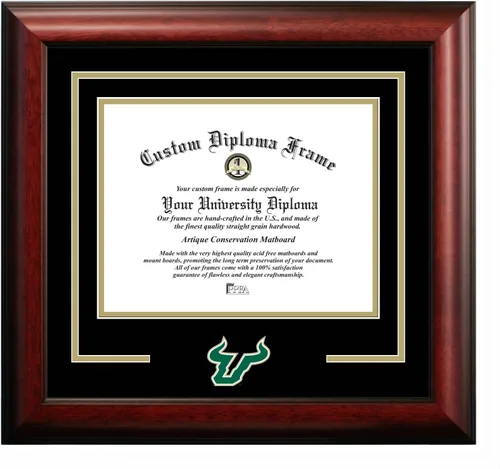 Miniatura 38 de Marco de Diploma Spirit NCAA