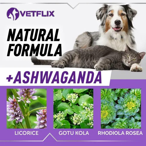 Miniatura 6 de Soporte suprarrenal para perros, gatos, cachorros y gatitos - Hecho en Estados Unidos - Suplemento de apoyo para Cushing y riñón - Fórmula natural