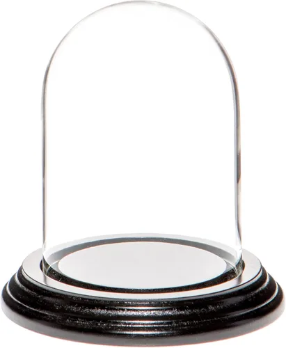 Miniatura 10 de Plymor Cúpula de cristal de 3" x 4" (base de chapa de roble)