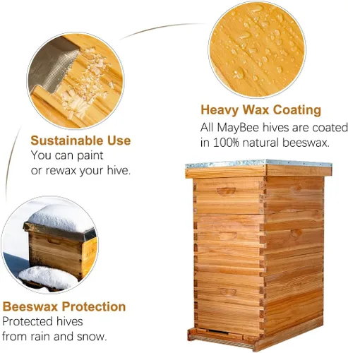 Miniatura 3 de MayBee Colmena Langstroth de 8 marcos sumergida en cera de abejas 100%, colmena de abejas para principiantes, colmena de abeja de miel incluye 2